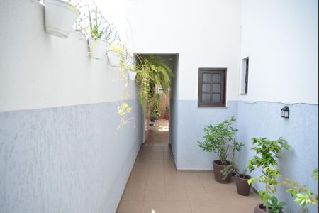 Casa à venda com 320m², 5 quartos e 4 vagasQuintal