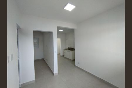 Sala de casa para alugar com 1 quarto, 40m² em Vila Brasilina, São Paulo