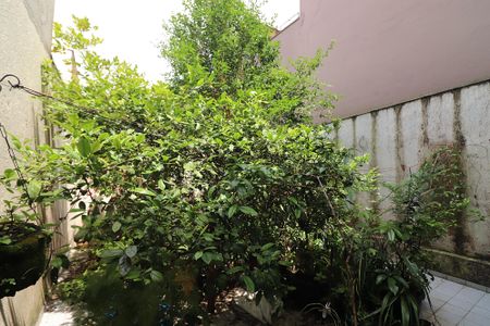 Casa à venda com 289m², 3 quartos e 4 vagasQuintal