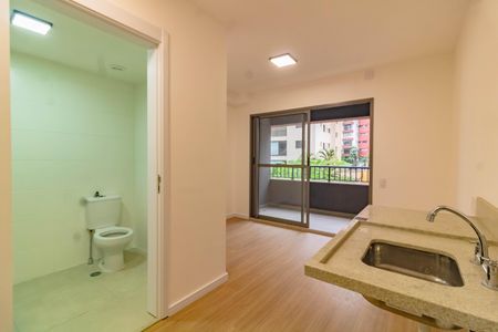 Kitnet/Studio para alugar com 1 quarto, 24m² em Vila Santa Catarina, São Paulo