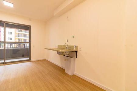 Kitnet/Studio para alugar com 1 quarto, 24m² em Vila Santa Catarina, São Paulo