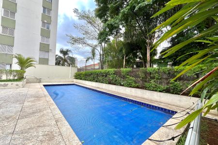 Apartamento para alugar com 55m², 2 quartos e 1 vaga Apartamento para alugar com 55m², 2 quartos e 1 vagaÁrea comum - Piscina
