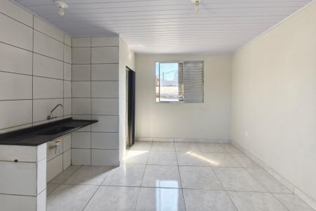 Studio de casa para alugar com 1 quarto, 25m² em Jardim São Fernando, Campinas