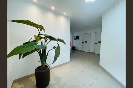 Apartamento à venda com 66m², 2 quartos e 1 vaga Apartamento à venda com 66m², 2 quartos e 1 vagaHall social