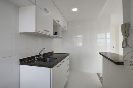 Apartamento para alugar com 60m², 2 quartos e 1 vagaCozinha - Armários