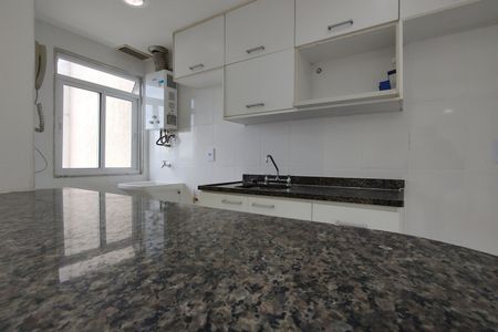 Apartamento para alugar com 60m², 2 quartos e 1 vagaCozinha - Armários