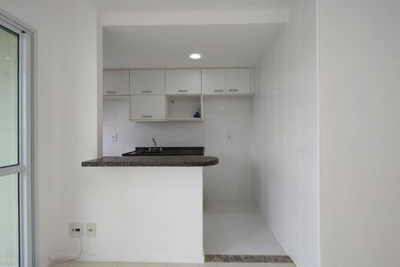 Apartamento para alugar com 60m², 2 quartos e 1 vagaCozinha - Armários
