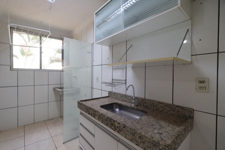 Cozinha de apartamento para alugar com 2 quartos, 56m² em Subsetor Leste - 8 (l-8), Ribeirão Preto
