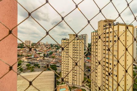 Apartamento à venda com 3 quartos, 75m² em Vila Santa Catarina, São Paulo