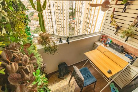 Apartamento à venda com 3 quartos, 75m² em Vila Santa Catarina, São Paulo