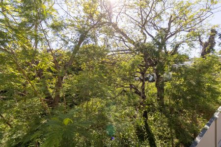 Apartamento para alugar com 42m², 2 quartos e 1 vaga Apartamento para alugar com 42m², 2 quartos e 1 vagaVista do Quarto 2