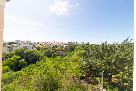Vista da Sala de apartamento para alugar com 2 quartos, 86m² em Jardim Nova Europa, Campinas