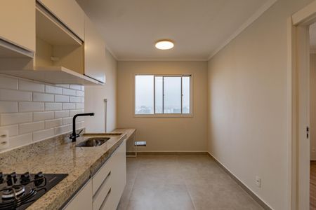 Cozinha de apartamento para alugar com 1 quarto, 25m² em Sacoma, São Paulo