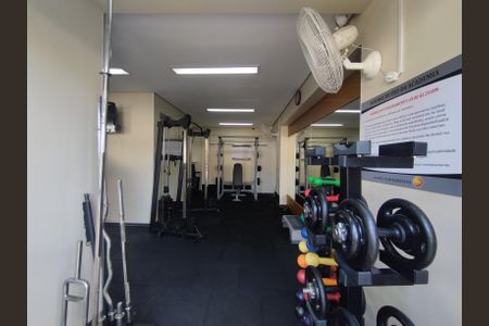 Área comum - Academia de apartamento para alugar com 2 quartos, 52m² em Vila Vera, São Paulo