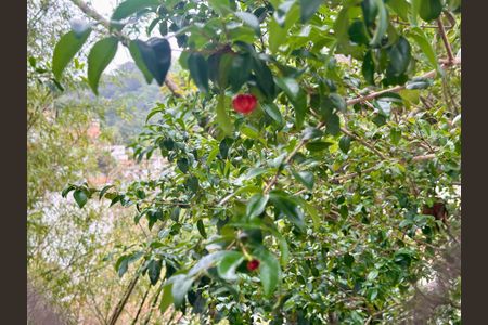 Vista de apartamento à venda com 2 quartos, 118m² em Cosme Velho, Rio de Janeiro