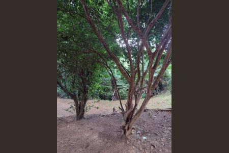 Casa à venda com 274m², 3 quartos e 15 vagas