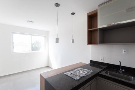 Sala/Cozinha de apartamento para alugar com 1 quarto, 85m² em Jardim Atlântico, Belo Horizonte