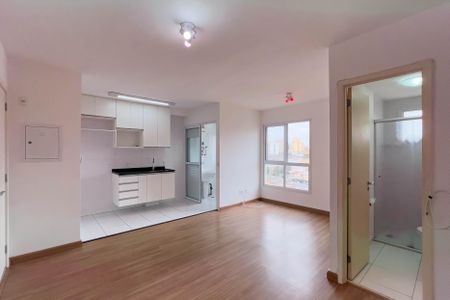 Studio de kitnet/studio para alugar com 1 quarto, 28m² em Cambuci, São Paulo