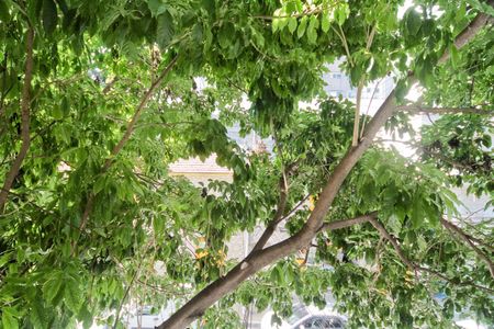 Vista de apartamento à venda com 2 quartos, 103m² em Casa Verde, São Paulo