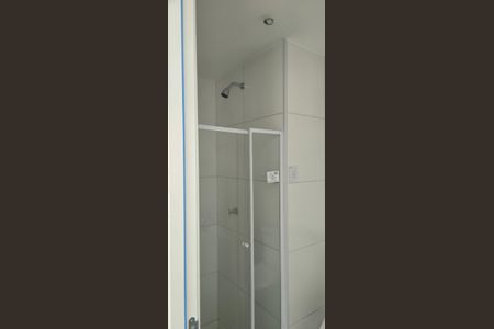 Banheiro de apartamento à venda com 2 quartos, 50m² em Santo Cristo, Rio de Janeiro