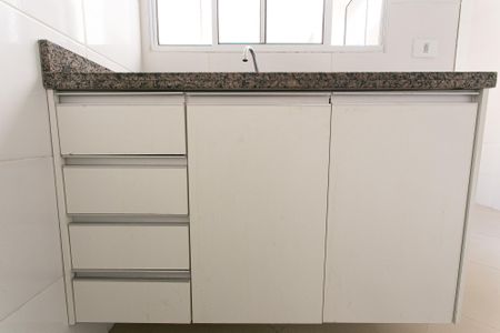 Apartamento para alugar com 40m², 2 quartos e sem vagaCozinha - Armários