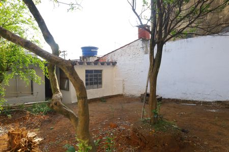 Casa para alugar com 78m², 3 quartos e 3 vagasQuintal