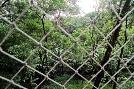 Vista de apartamento para alugar com 2 quartos, 49m² em Jardim Iris, São Paulo