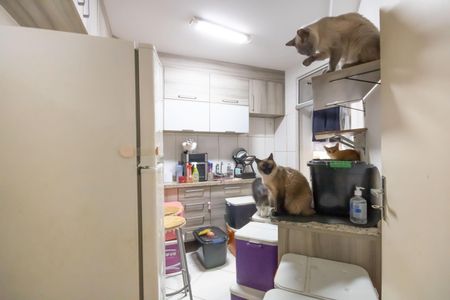 Cozinha de apartamento à venda com 2 quartos, 55m² em Bandeiras, Osasco