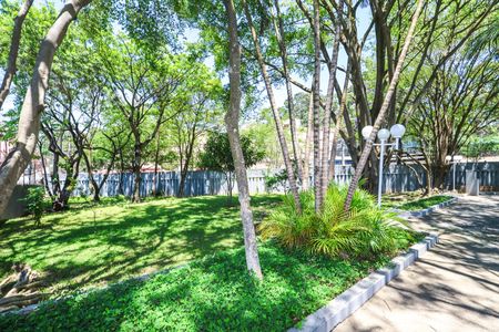 Apartamento para alugar com 60m², 2 quartos e 1 vaga Apartamento para alugar com 60m², 2 quartos e 1 vagaBosque