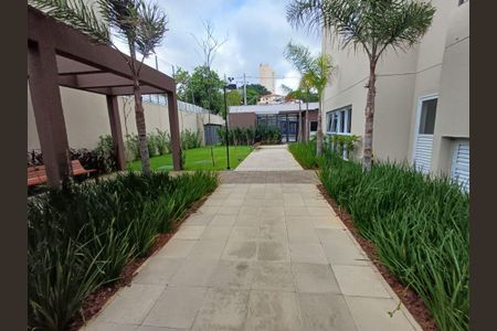 Apartamento à venda com 1 quarto, 31m² em Vila Sonia, São Paulo