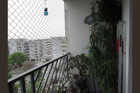 Sala - Varanda de apartamento para alugar com 3 quartos, 66m² em Industrial Autonomistas, Osasco