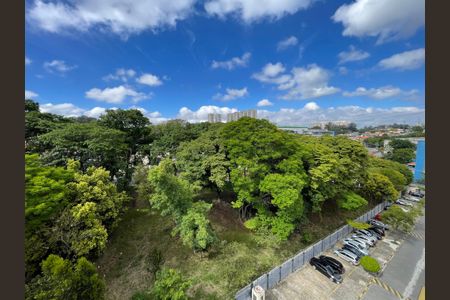 Vista Quarto 1 de apartamento para alugar com 3 quartos, 69m² em Rio Pequeno, São Paulo