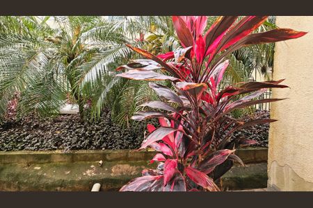 Apartamento para alugar com 50m², 2 quartos e 1 vaga Apartamento para alugar com 50m², 2 quartos e 1 vagaVista Quarto 2