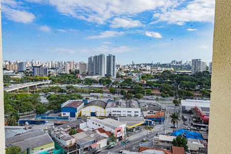Vista da Varanda de apartamento para alugar com 2 quartos, 49m² em Piqueri, São Paulo