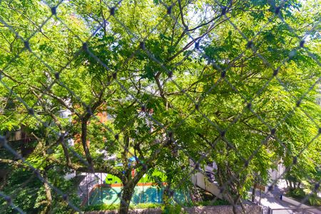 Vista Quarto 1 de apartamento à venda com 3 quartos, 74m² em Vila Sofia, São Paulo