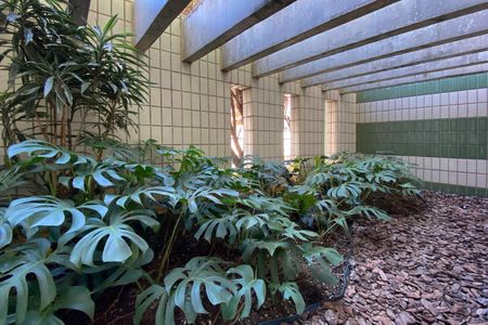 Apartamento à venda com 80m², 2 quartos e 1 vagaÁrea comum - Jardim de Inverno