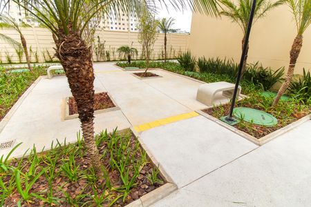 Apartamento para alugar com 32m², 2 quartos e sem vaga Apartamento para alugar com 32m², 2 quartos e sem vagaÁrea comum - Churrasqueira