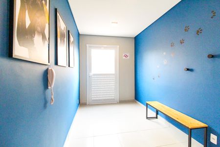 Apartamento para alugar com 32m², 2 quartos e sem vaga Apartamento para alugar com 32m², 2 quartos e sem vagaPet Care