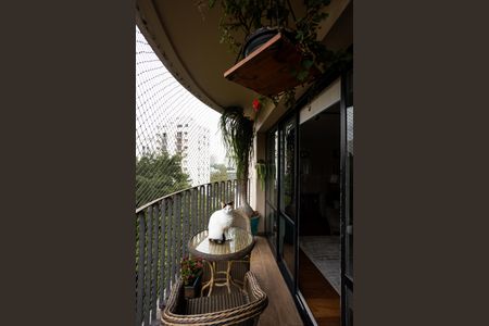 Varanda da Sala de apartamento para alugar com 3 quartos, 172m² em Jardim Ampliacao, São Paulo
