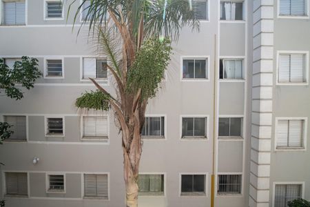 Vista da Sala de apartamento para alugar com 2 quartos, 49m² em Chácaras Fazenda Coelho, Hortolândia