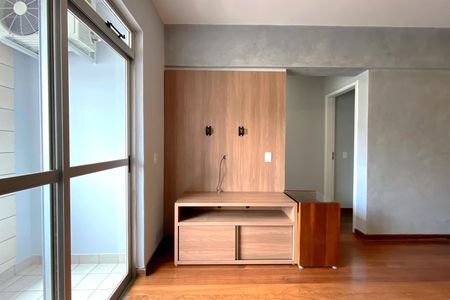 Armários da Sala de apartamento para alugar com 2 quartos, 80m² em Carmo, Belo Horizonte