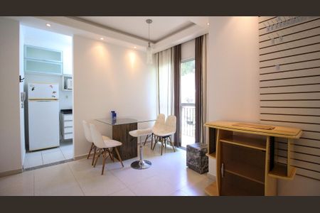 Sala de apartamento para alugar com 2 quartos, 46m² em Vila Mendes, São Paulo