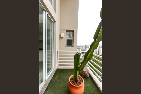 Varanda de apartamento à venda com 1 quarto, 86m² em Vila Suzana, São Paulo