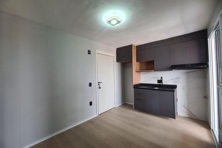 Apartamento para alugar com 1 quarto, 33m² em Vila Santa Clara, São Paulo