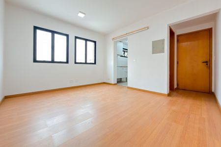 Sala e Quarto de apartamento para alugar com 1 quarto, 29m² em Vila São José, São Paulo