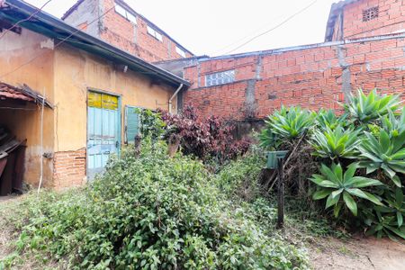 Quintal de casa para alugar com 2 quartos, 250m² em Vila Sao Luis, São Paulo