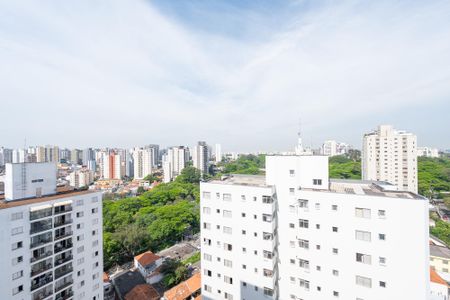 Vista da Sala de apartamento para alugar com 1 quarto, 35m² em Vila Monte Alegre, São Paulo