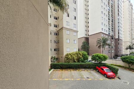 Vista - Sacada de apartamento para alugar com 2 quartos, 48m² em Nova Petrópolis, São Bernardo do Campo