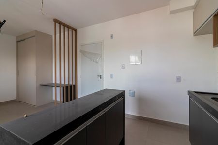 Apartamento para alugar com 33m², 1 quarto e 1 vagaCozinha