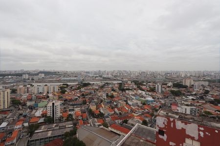 Apartamento à venda com 440m², 5 quartos e 5 vagasVista da Cobertura